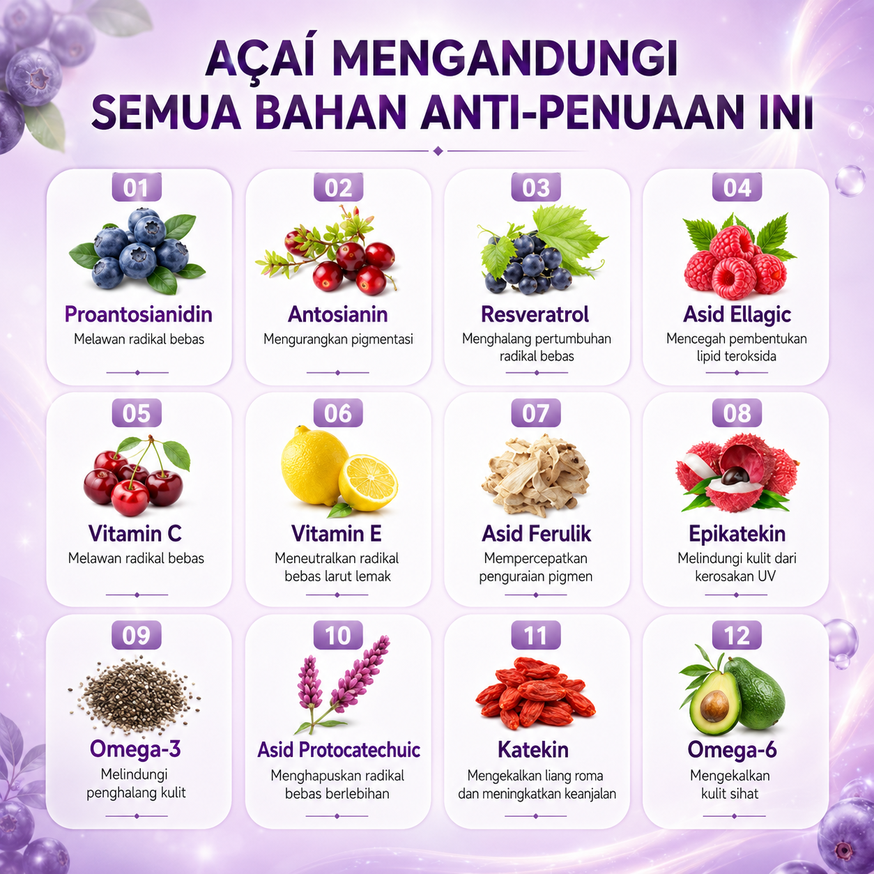 Kebaikan Acai Berry Beauty